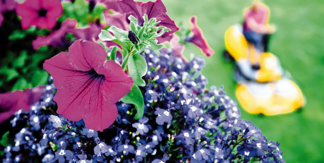 Wiosna – kalendarz prac ogrodowych od kwietnia do czerwca